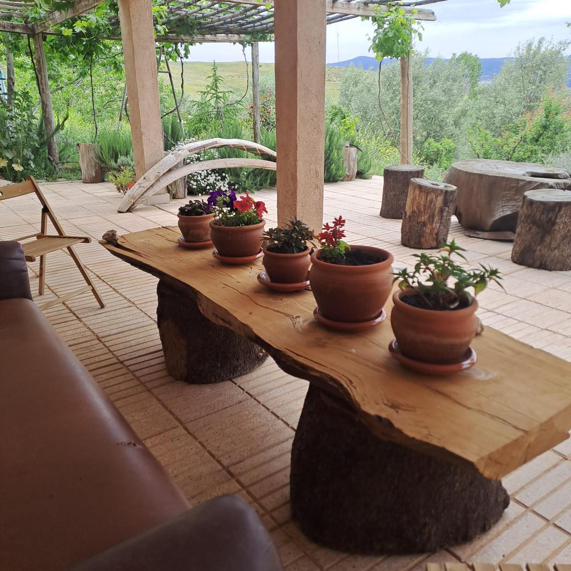 Le Chene D'Azrou Hotel Ngoại thất bức ảnh